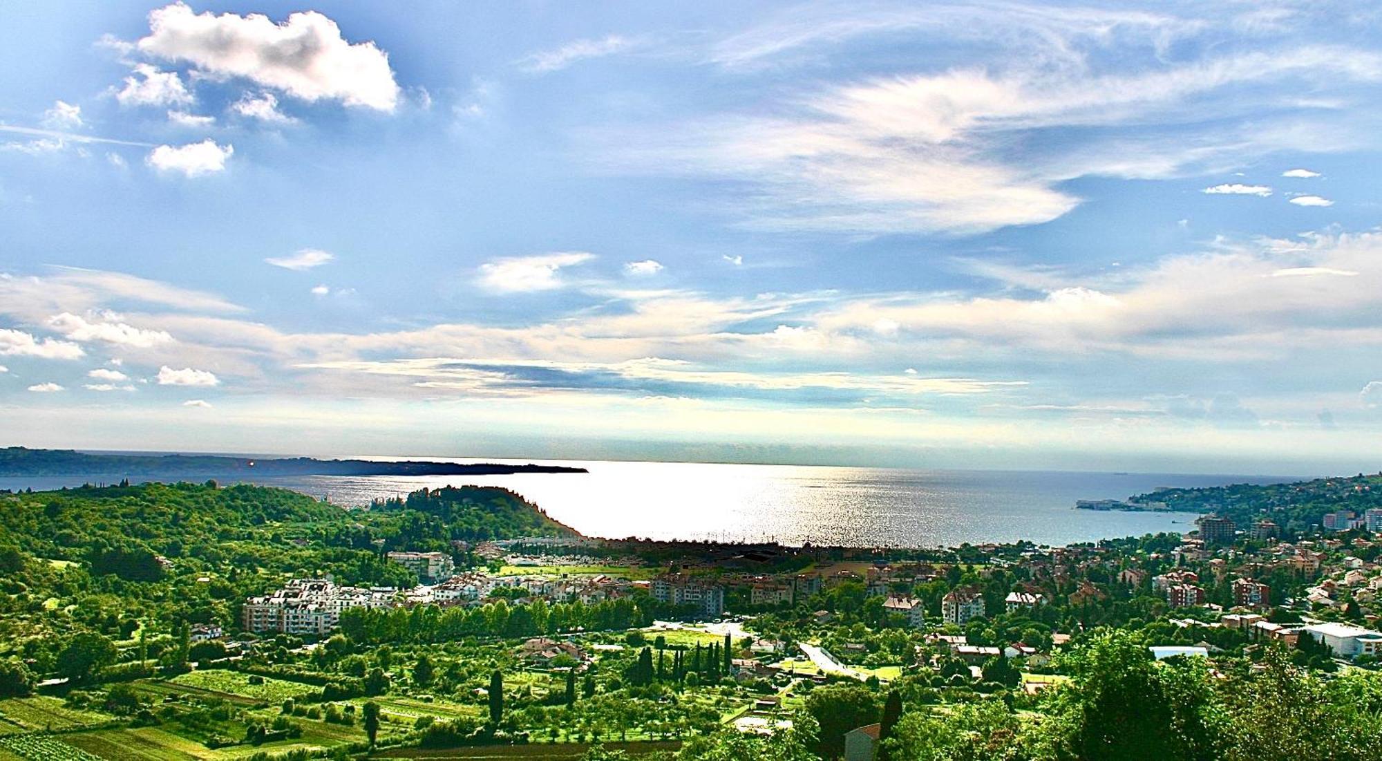 Апартаменти Sea View Olive Retreat Порторож Екстер'єр фото